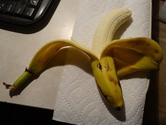 Banana with two peels image 1