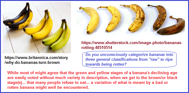 Variations of a banana's ripeness 3 general banana variations