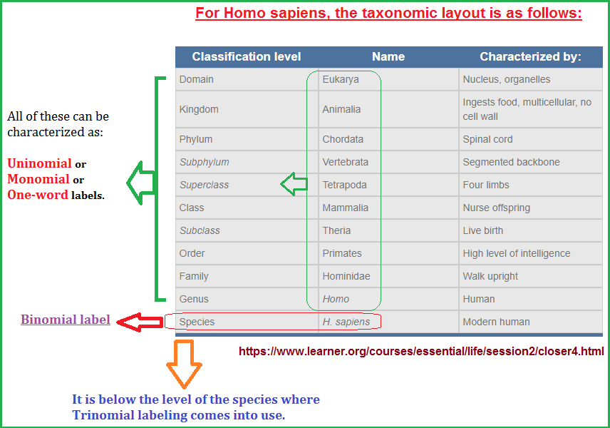 Taxonomy rankings