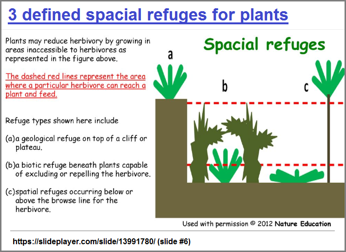 3 defined spatial refuges for plants