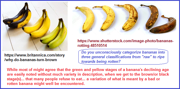 3 general banana variations