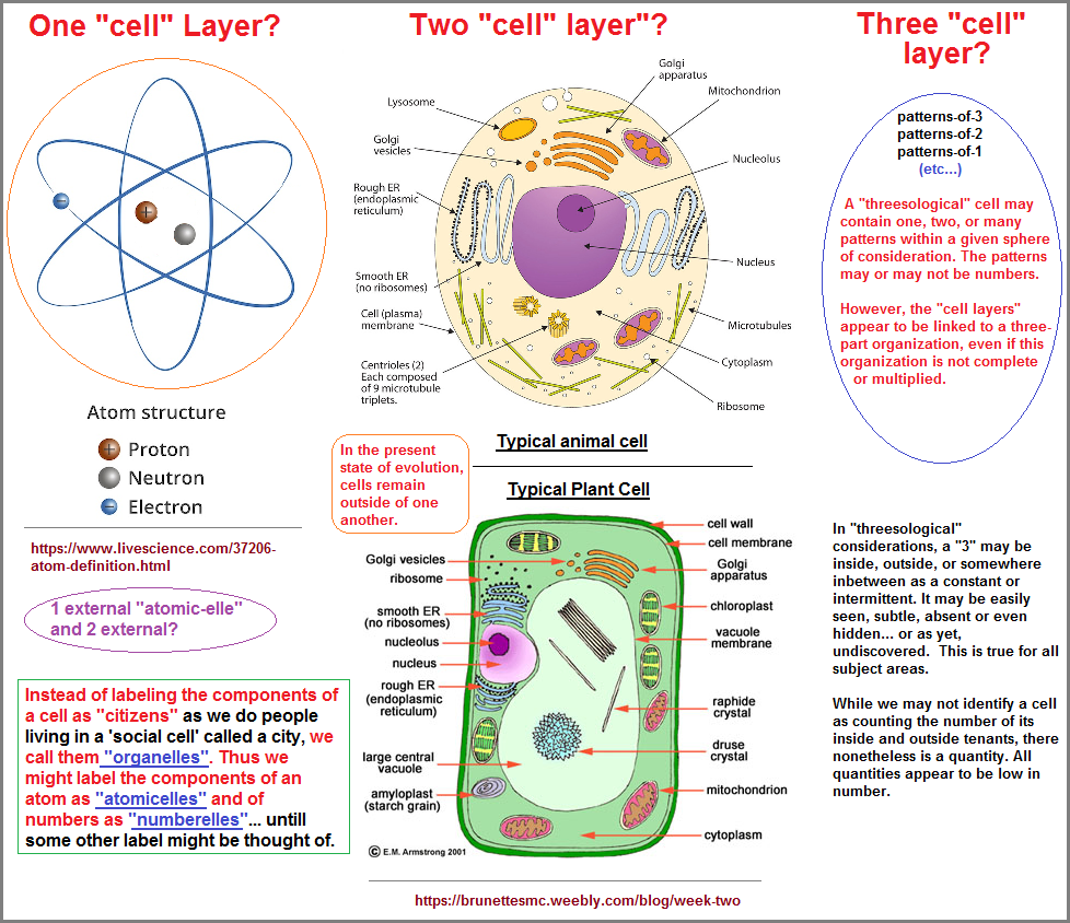 3 types of cell