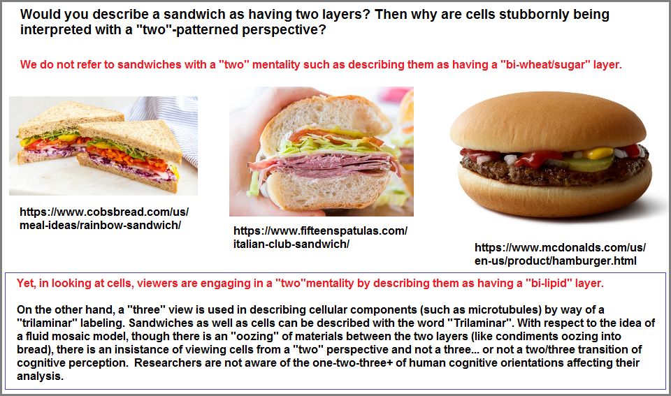 3 different types of Sandwiches