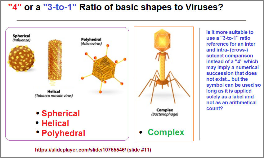 4 basic virus shapes
