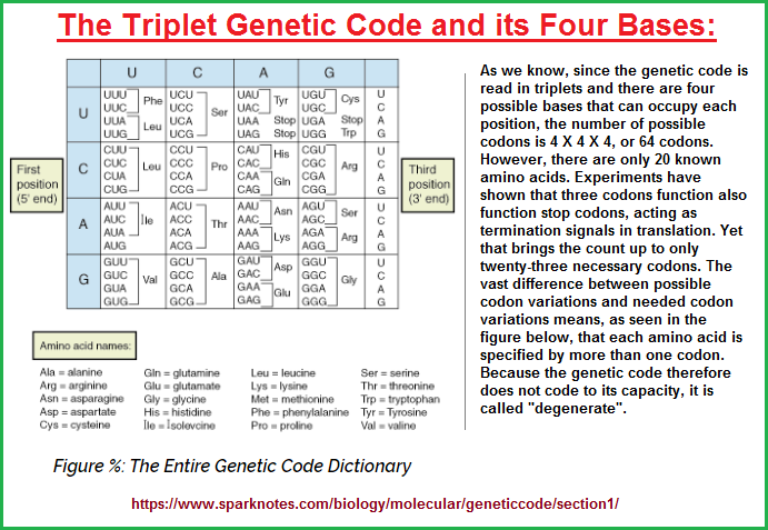 Triplet Genetic code and four bases