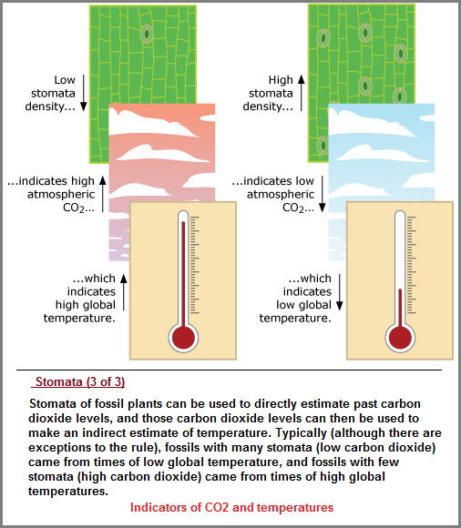 Stomata indicators of CO2 and temperatures description