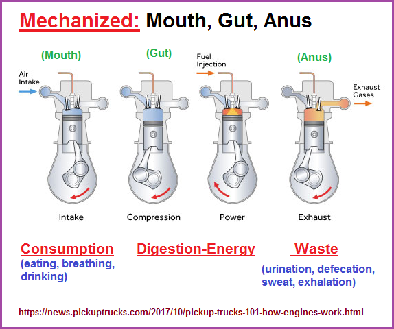 Mechanized mouth, gut, anus as seen in the internal combustion engine