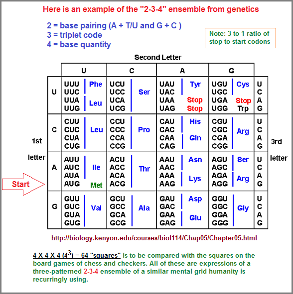 2-3-4 pattern in genetics
