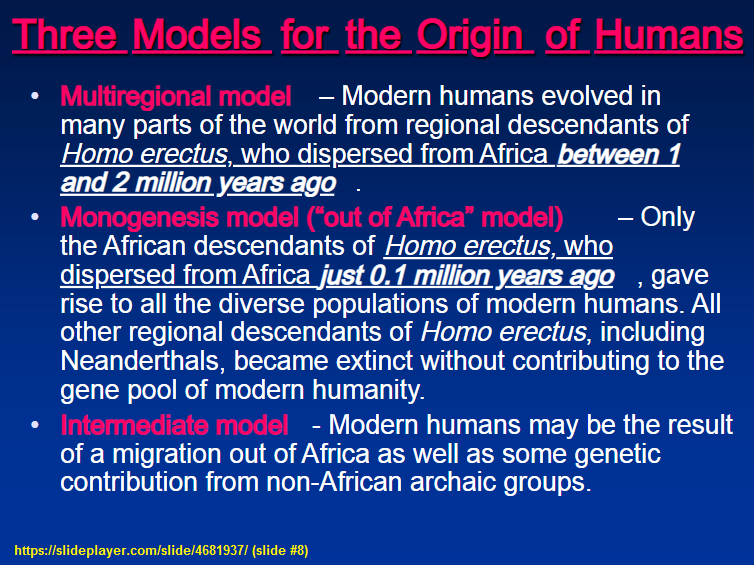3 models for Human origins