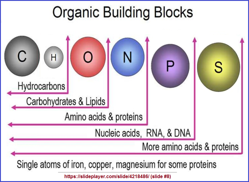 Elements as organic building blocks