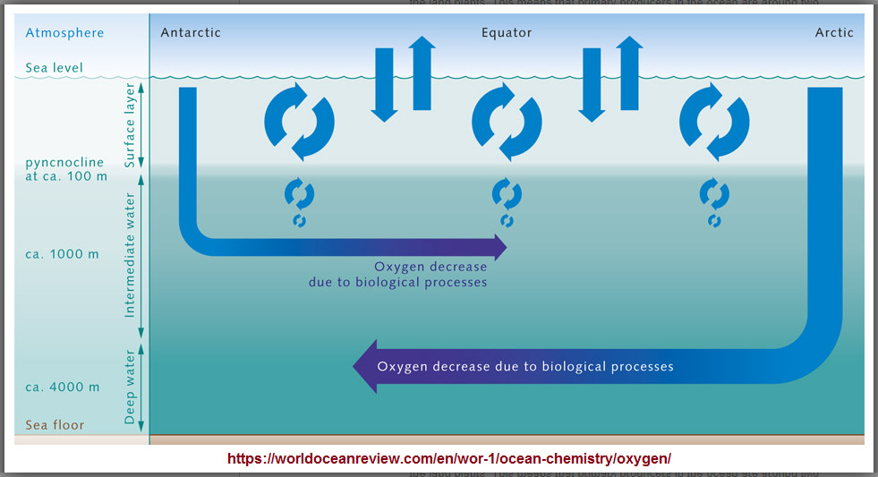 Depth of oxygen in the oceans