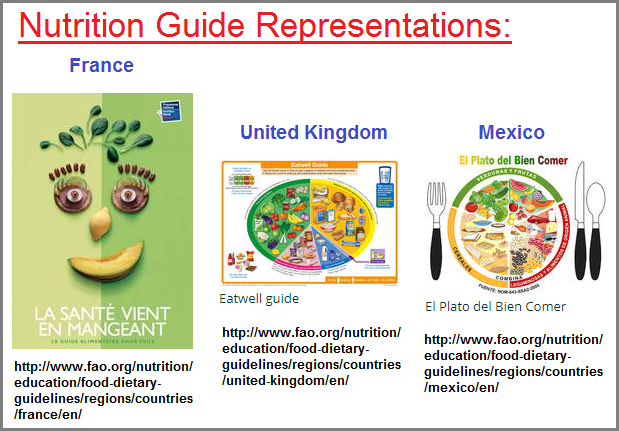 3 countries and their nutrition guideline representations