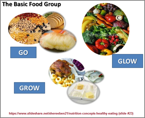 3 food groups nutrition concept