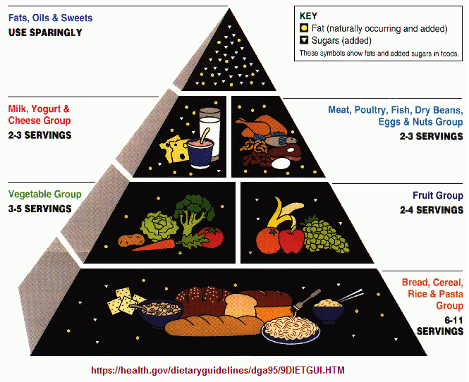 US government dietary pyramid