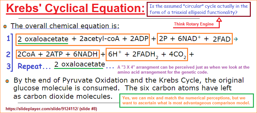 Krebs' Cyclical equation