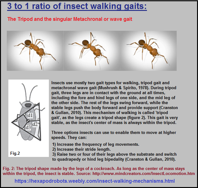 Tripod and singular insect gaits