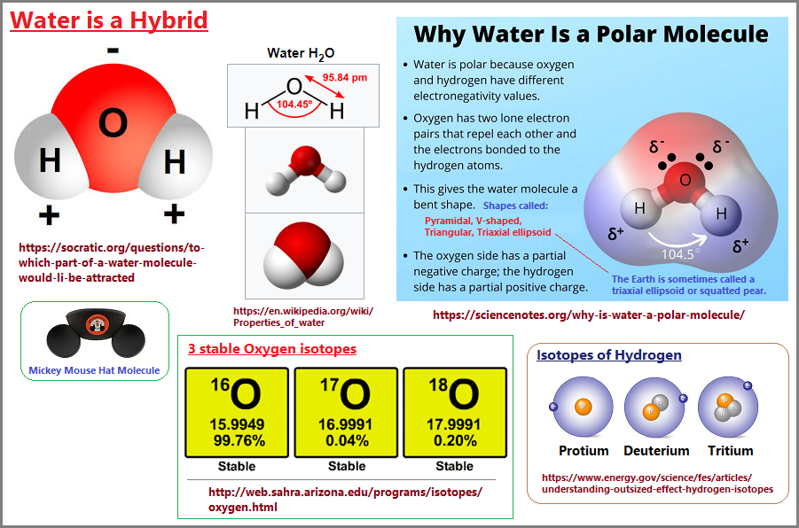 Water is a hybrid