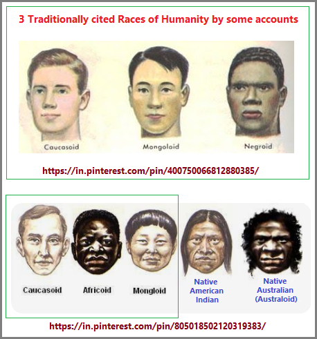Three traditional races of humanity