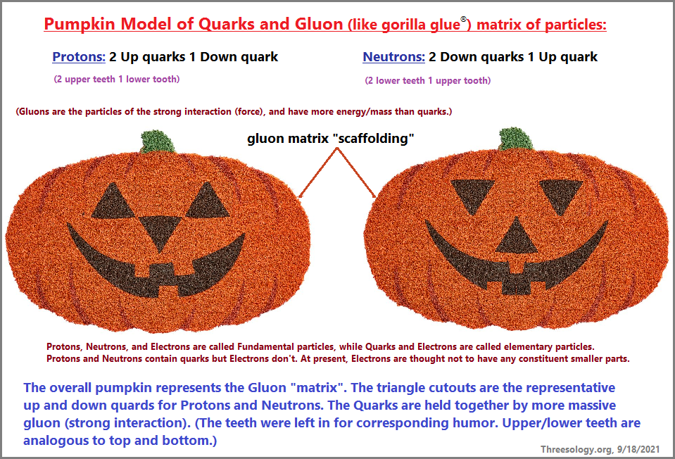 Pumpkin model of the Quark and gluon partneship