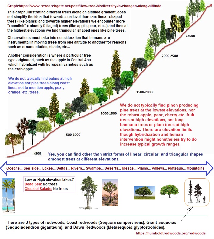 correlating 3 basid geometric forms of trees with altitude 