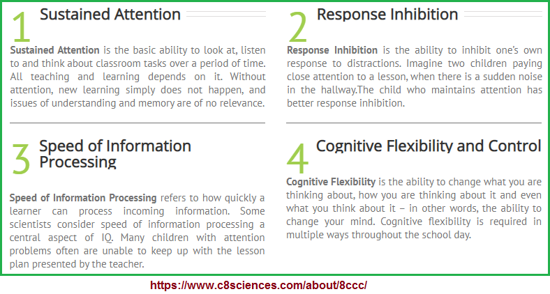 1st four examples of the 8 cognitive core capacities
