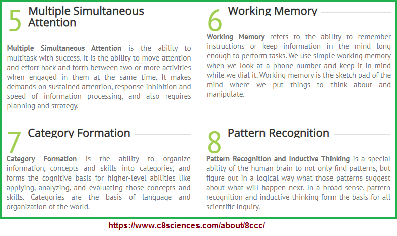 2nd four examples of the 8 cognitive core capacities