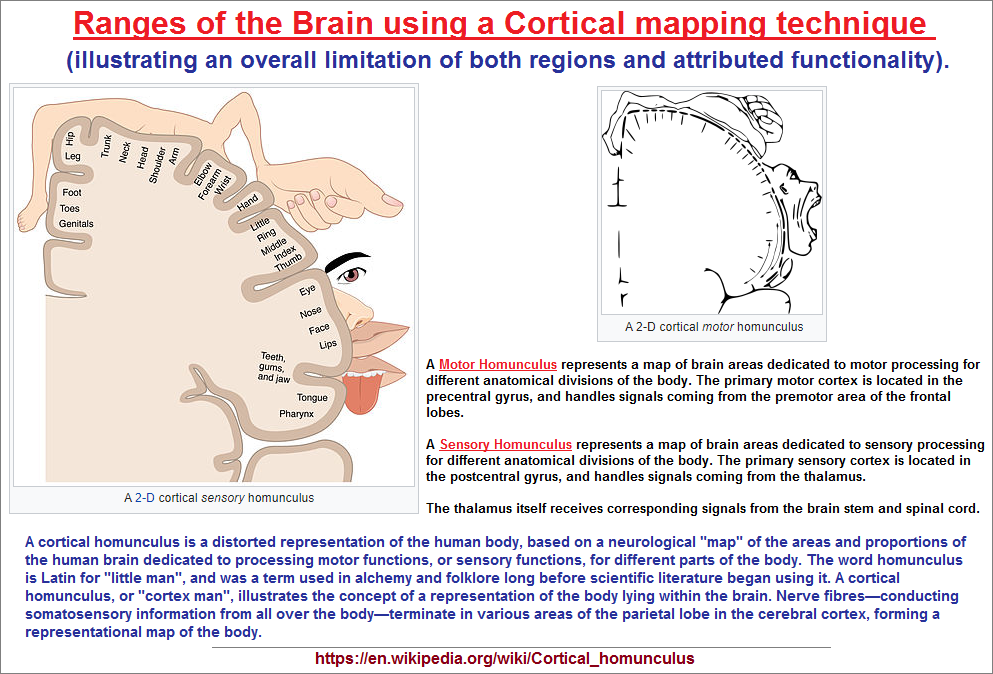 Cortical brain mapping