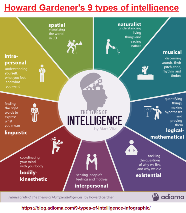 Gardener's 9 types of intelligence