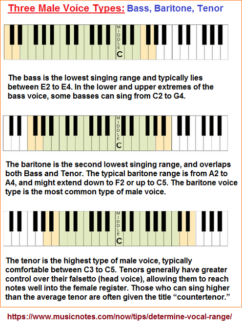 Male voice types