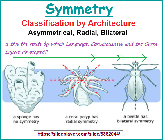 To what extent can we apply the notion of Symmetry?