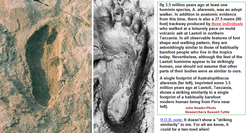 Laetoli footprint of a 2-toed alien creature