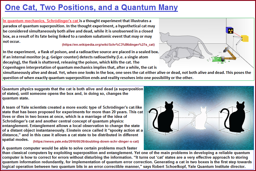 One cat, two positions and a Quantum Many