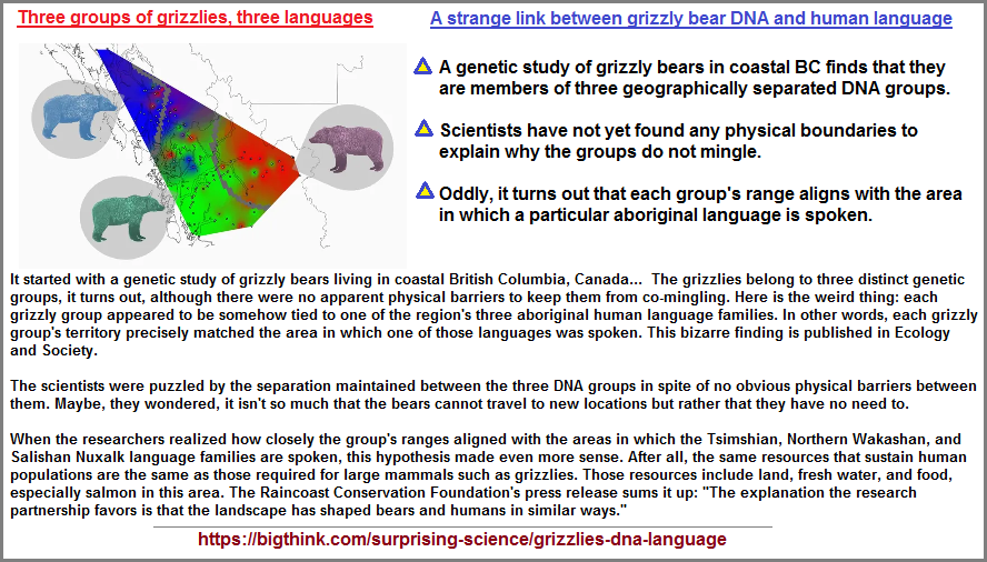 Three groups of grizzly bears and 3 human languages