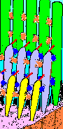 stereocilia