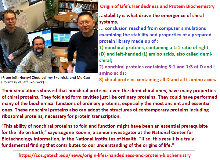 Correlating ideas revolving around amino acid handedness Computer simulations and amino acid chirality