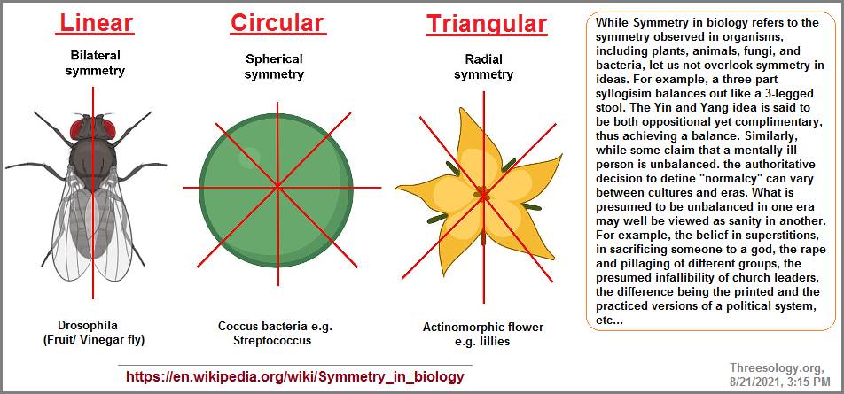 Line, circle, triangle symmetries Symmetry defined in terms of basic geometries