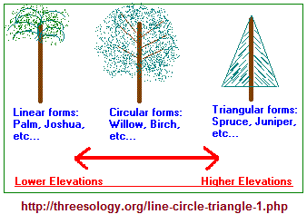 Elevation described geometries of trees Linear, circular, triangular tree forms