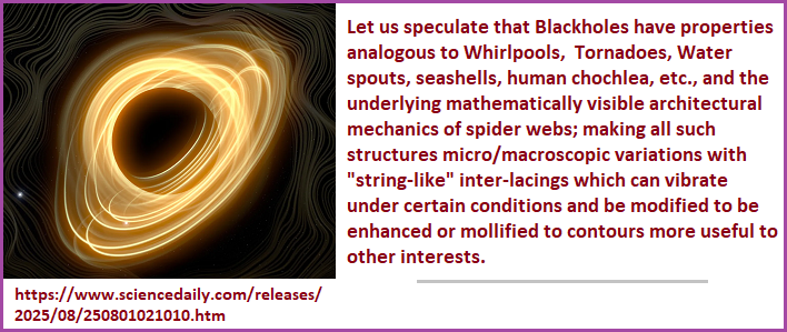 Speculations about Blackholes