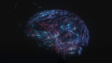 Is there a correlation, or is this merly an inflated Ego? Compairing the brain to the Universe