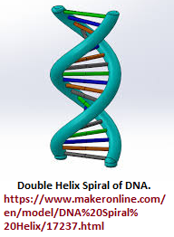 DNA's double helix viewed as a spiral.