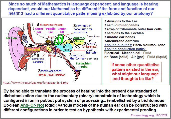 The Ear and its dominant recurring pattern Patterns of three are replete in the ear
