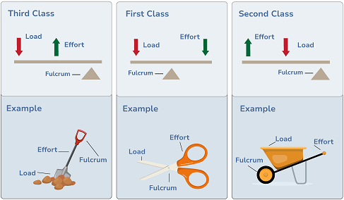 Three types of levers