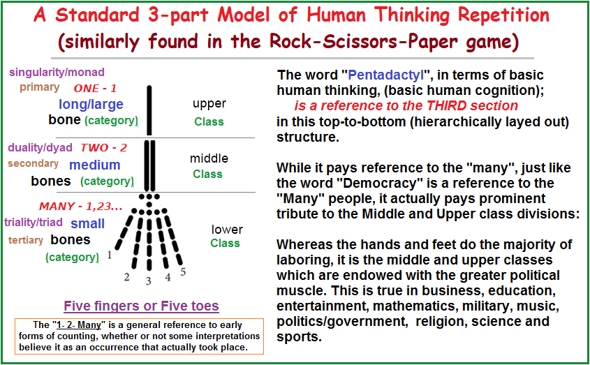 The Pentadactyl Limb referencing a basic cognitive pattern