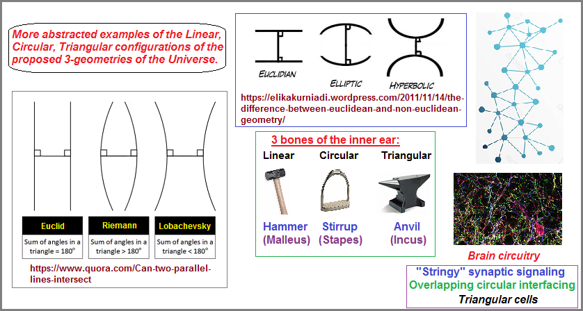 Different perspective of the three geometries of the Universe