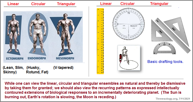 Examples of the linear, circular, triangular congnitive standard