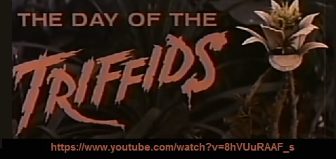 Day of the Triffids movie on youtube