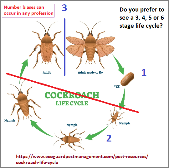 3, 4, 5 or 6 life cycle stages