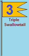 Triple swallowtale (Butterfly) banner