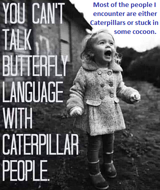The language of the Butterflies is quite unique