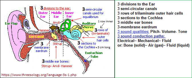 List of 3's pattern associated with the ear